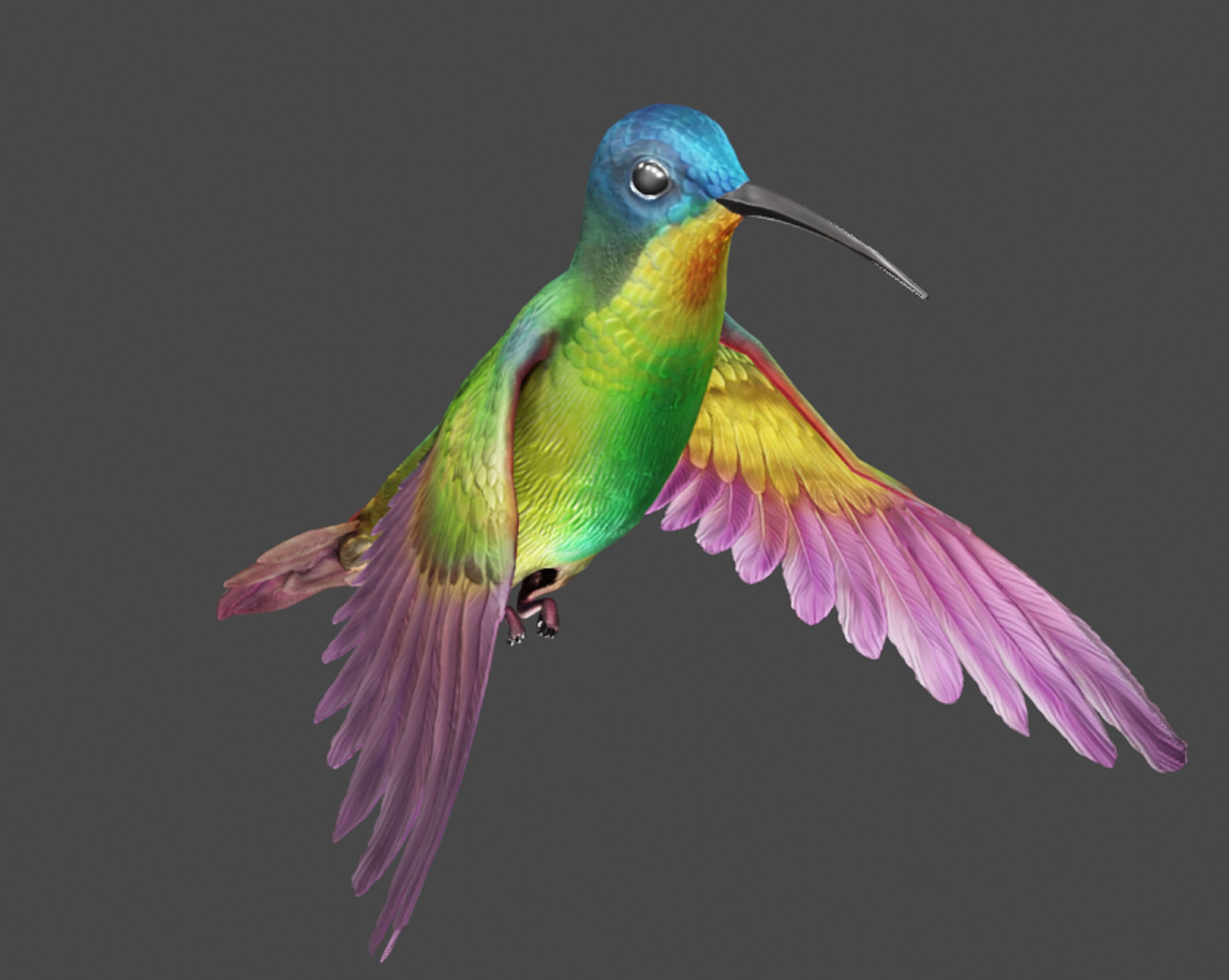 Flying Humming Bird 3D Model