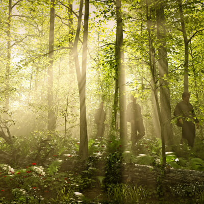 Pristine Forest 3D Wallpaper