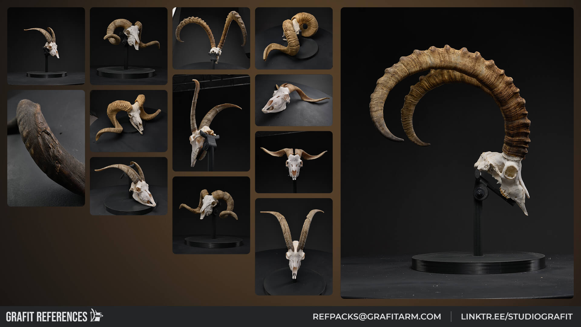 1100 Wild Horns - Ram Mouflon and Bighorn Skulls Reference Reference Photo Set