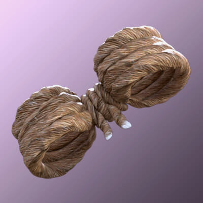 GJ3D Ropes for Genesis 8 Female Daz Content
