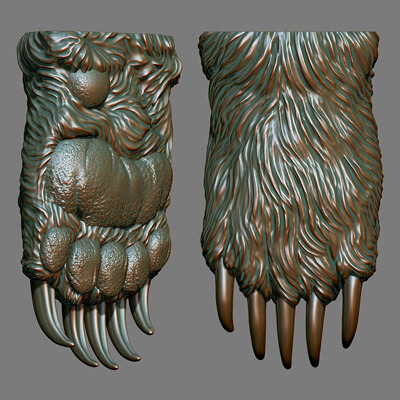 Furred Bear Paw 3D Model