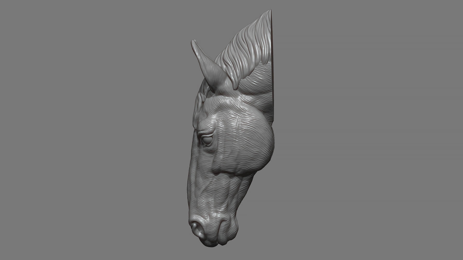 Horse Head Bust ver 2 3D Model