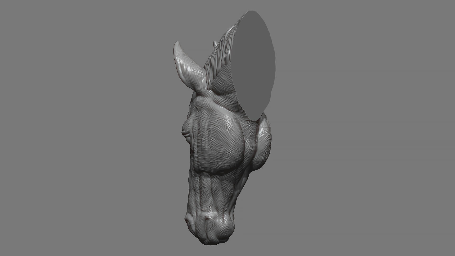 Horse Head Bust ver 2 3D Model