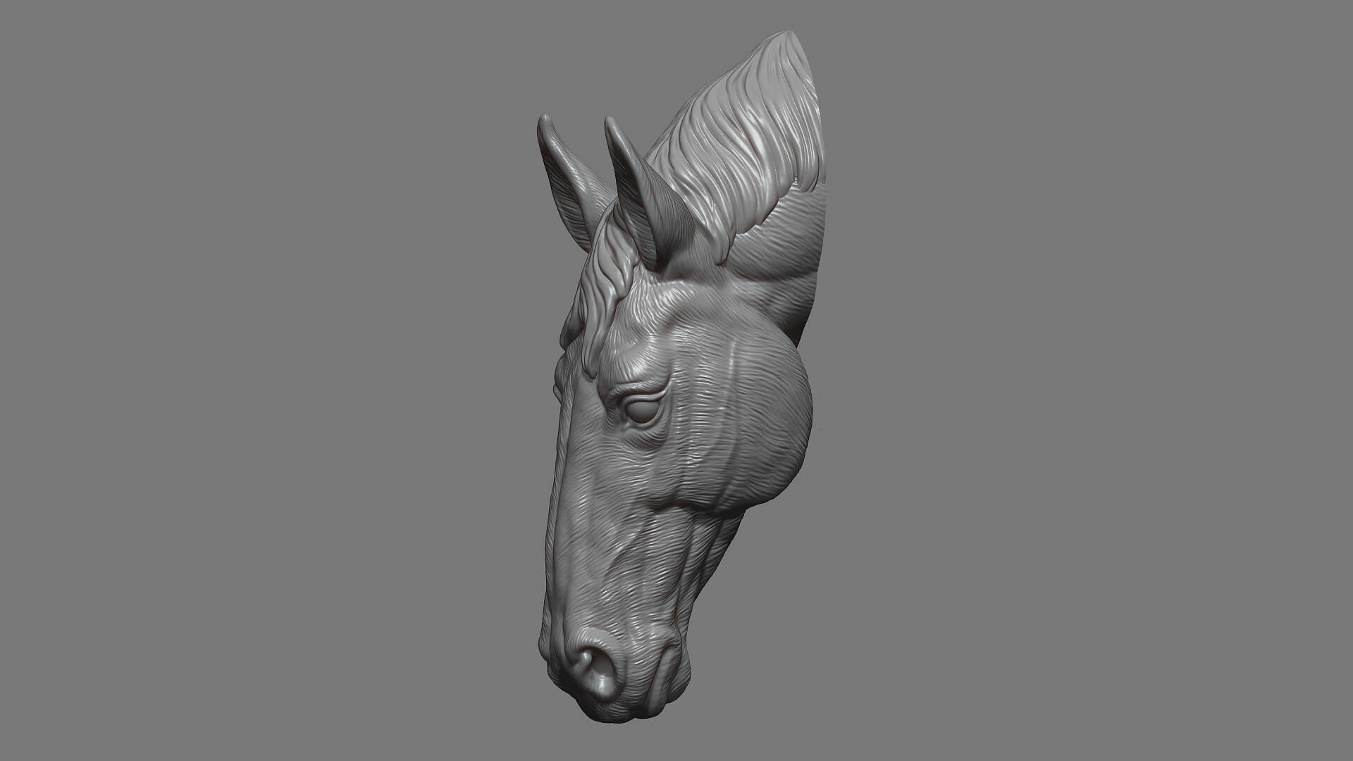 Horse Head Bust ver 2 3D Model