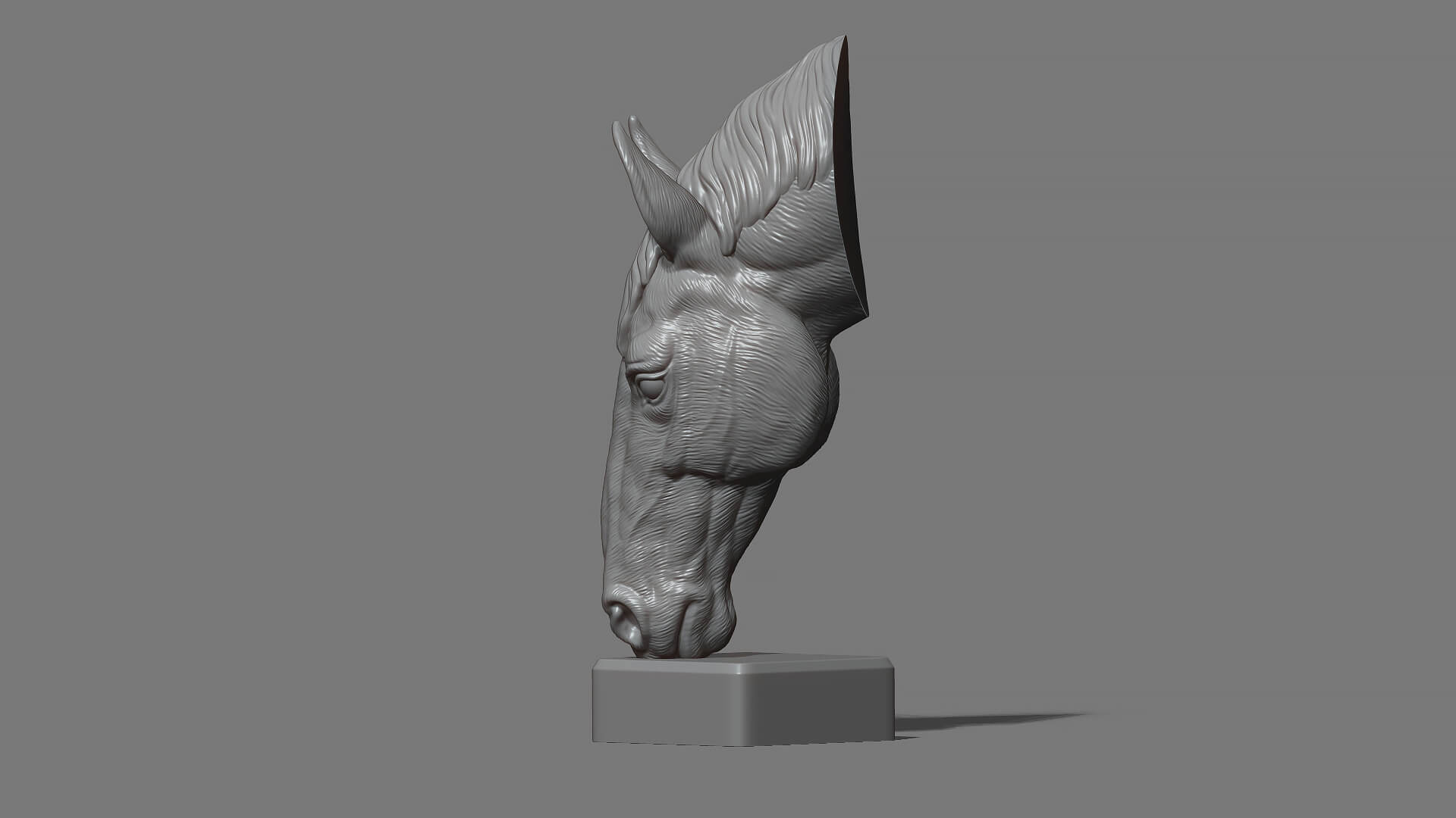 Horse Head Bust ver 2 3D Model