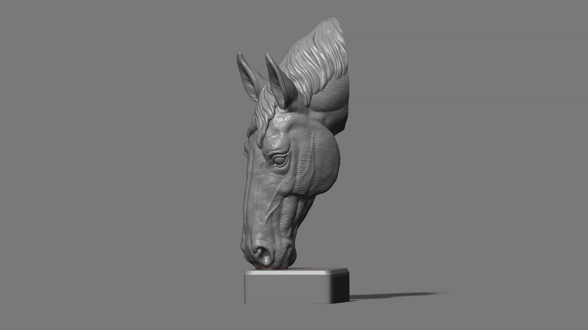 Horse Head Bust ver 2 3D Model