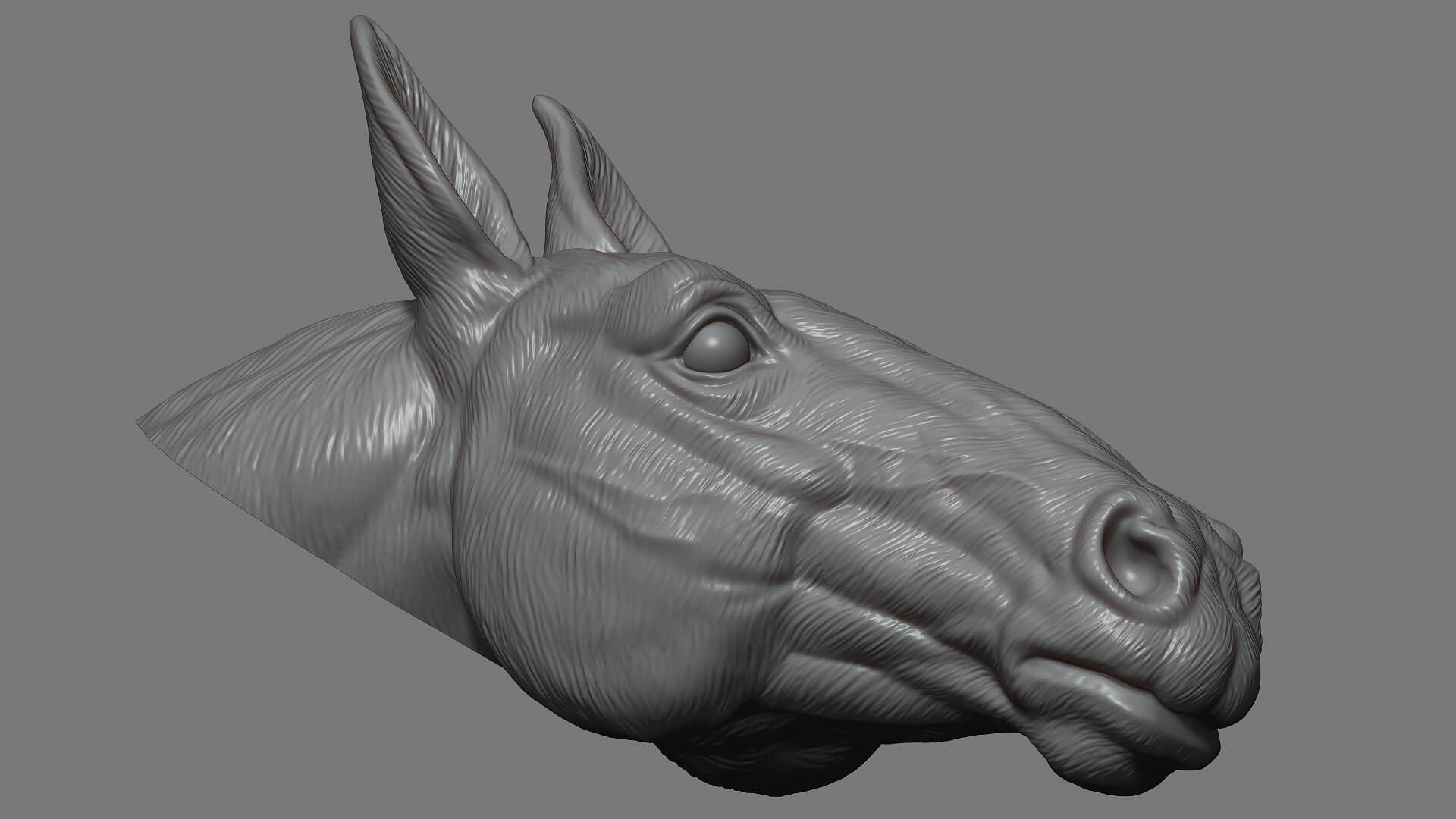 Horse Head Bust 3D Model