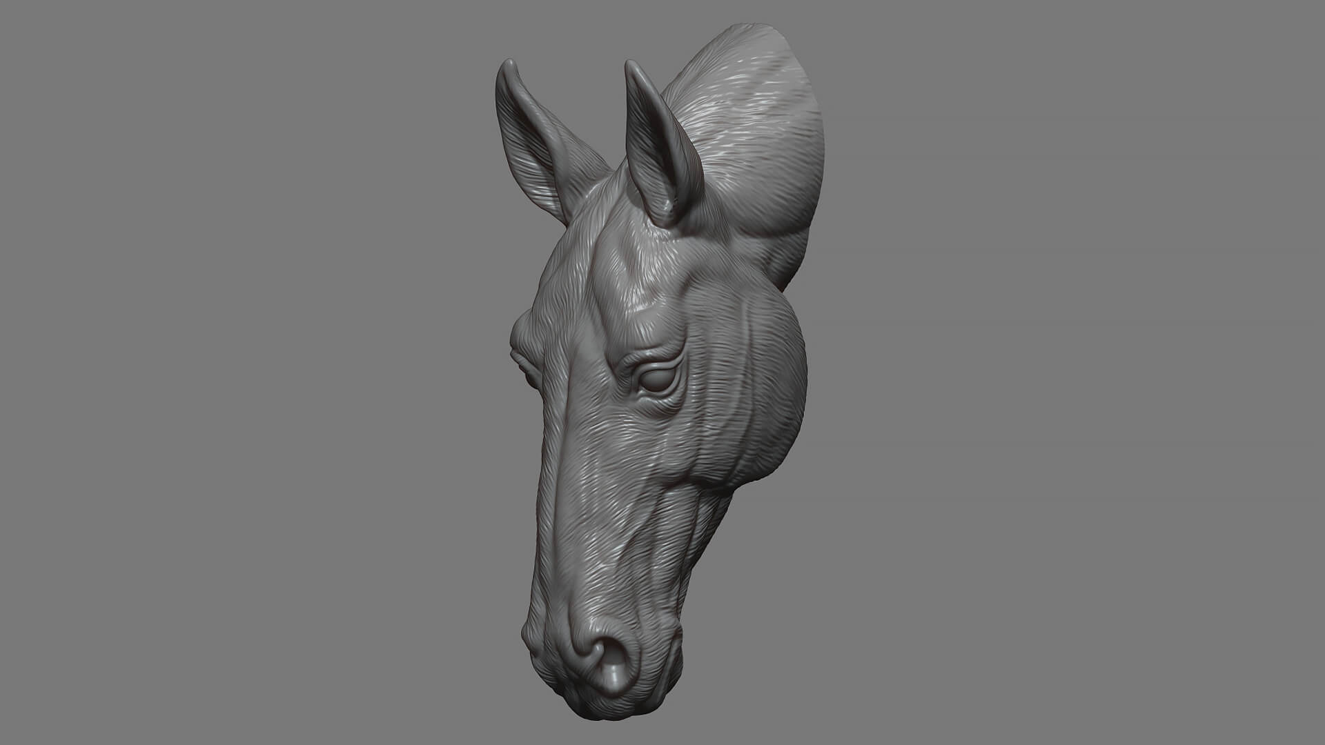 Horse Head Bust 3D Model