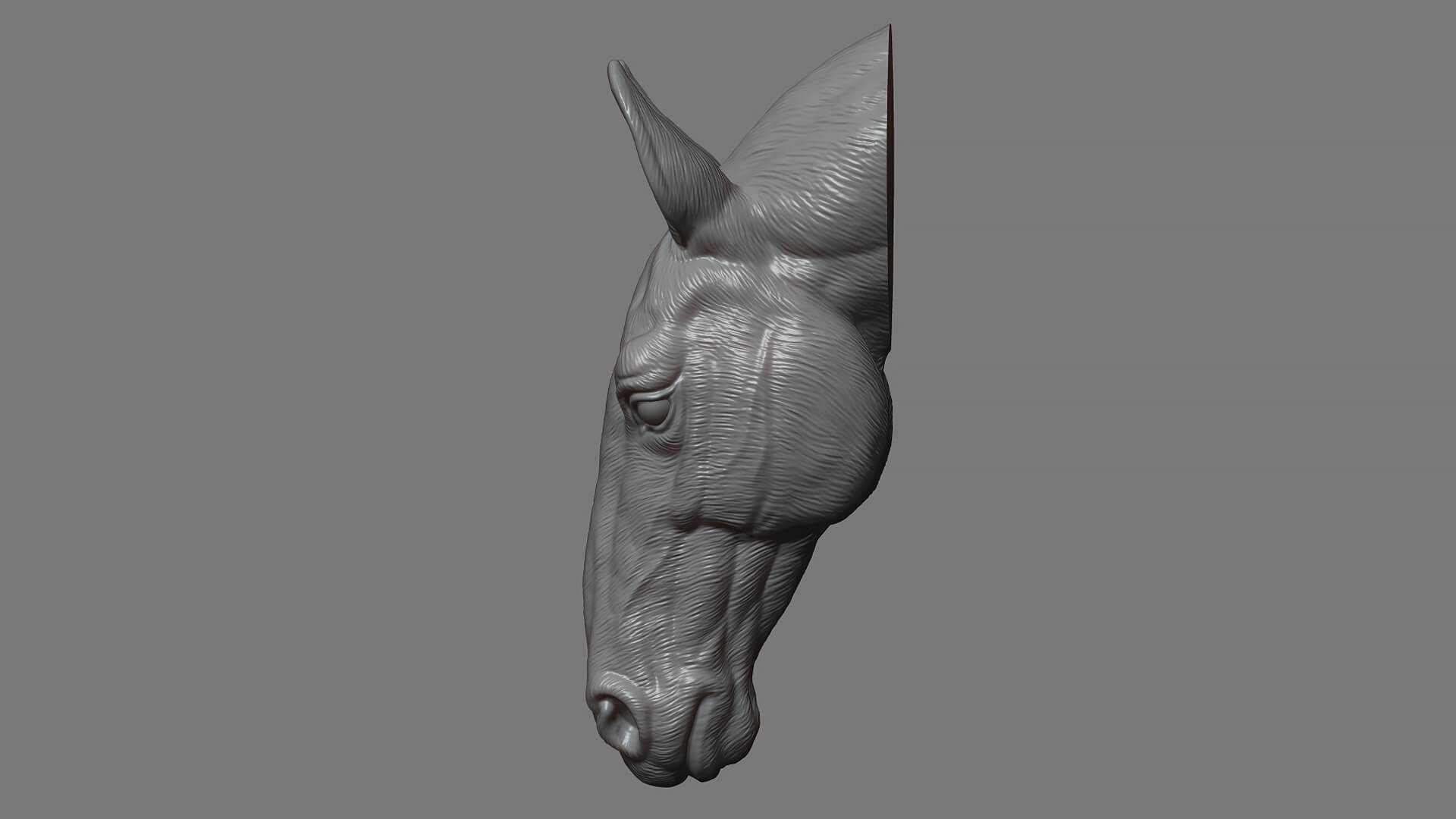 Horse Head Bust 3D Model