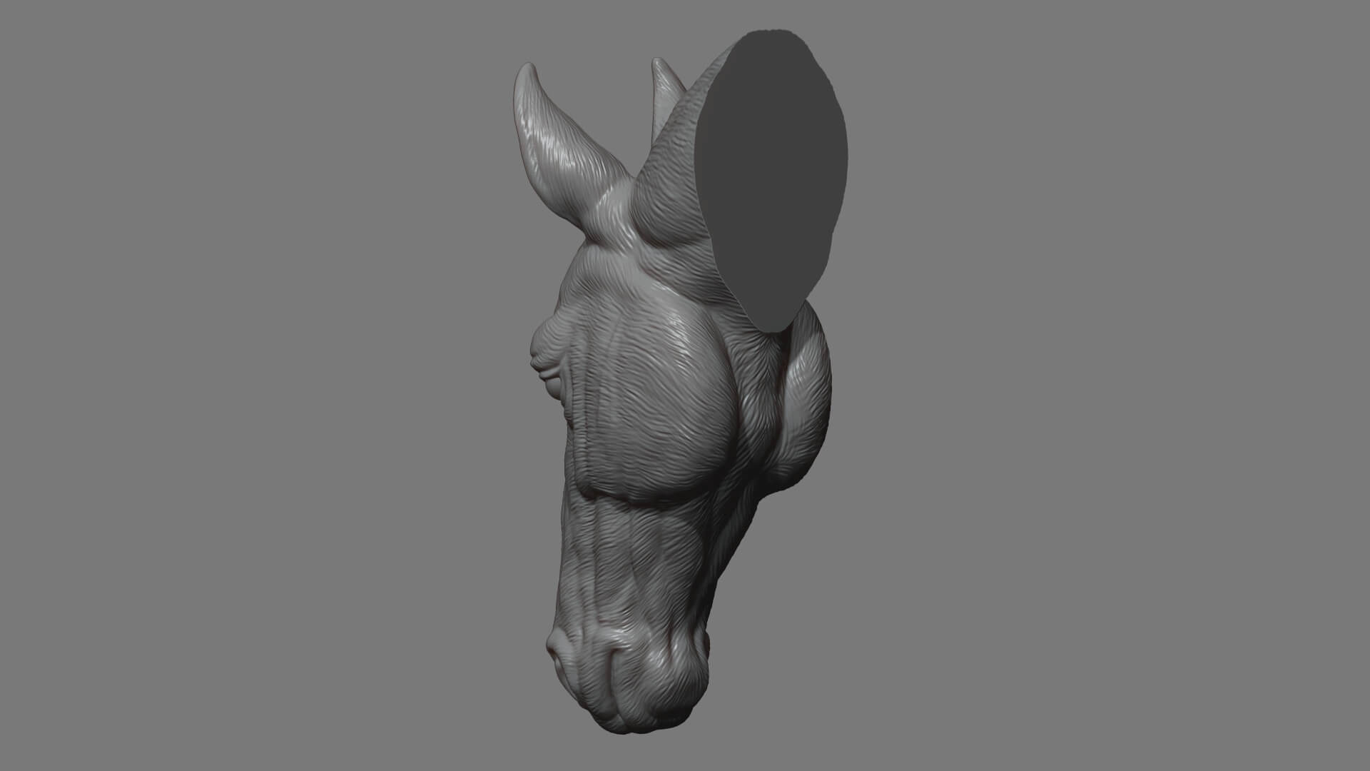 Horse Head Bust 3D Model