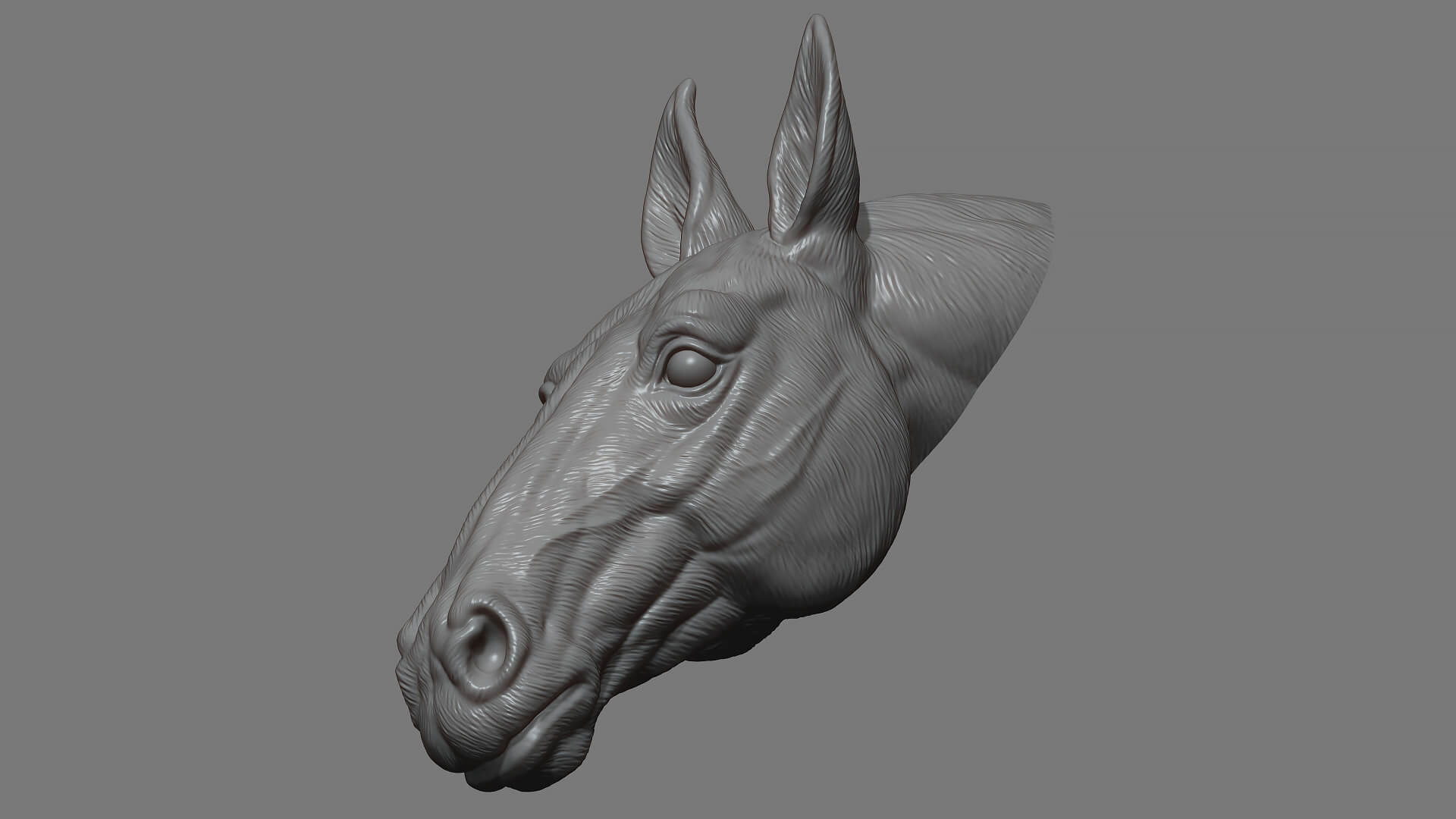 Horse Head Bust 3D Model