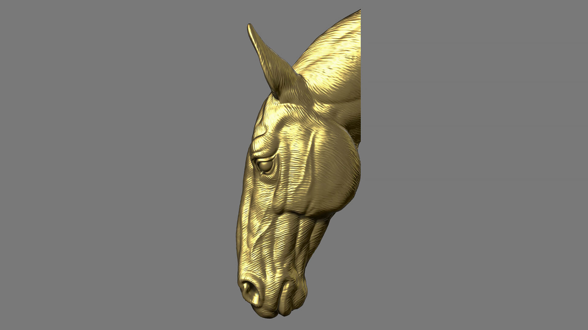Horse Head Bust 3D Model