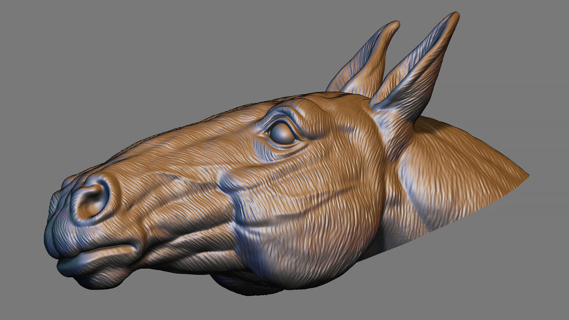 Horse Head Bust 3D Model