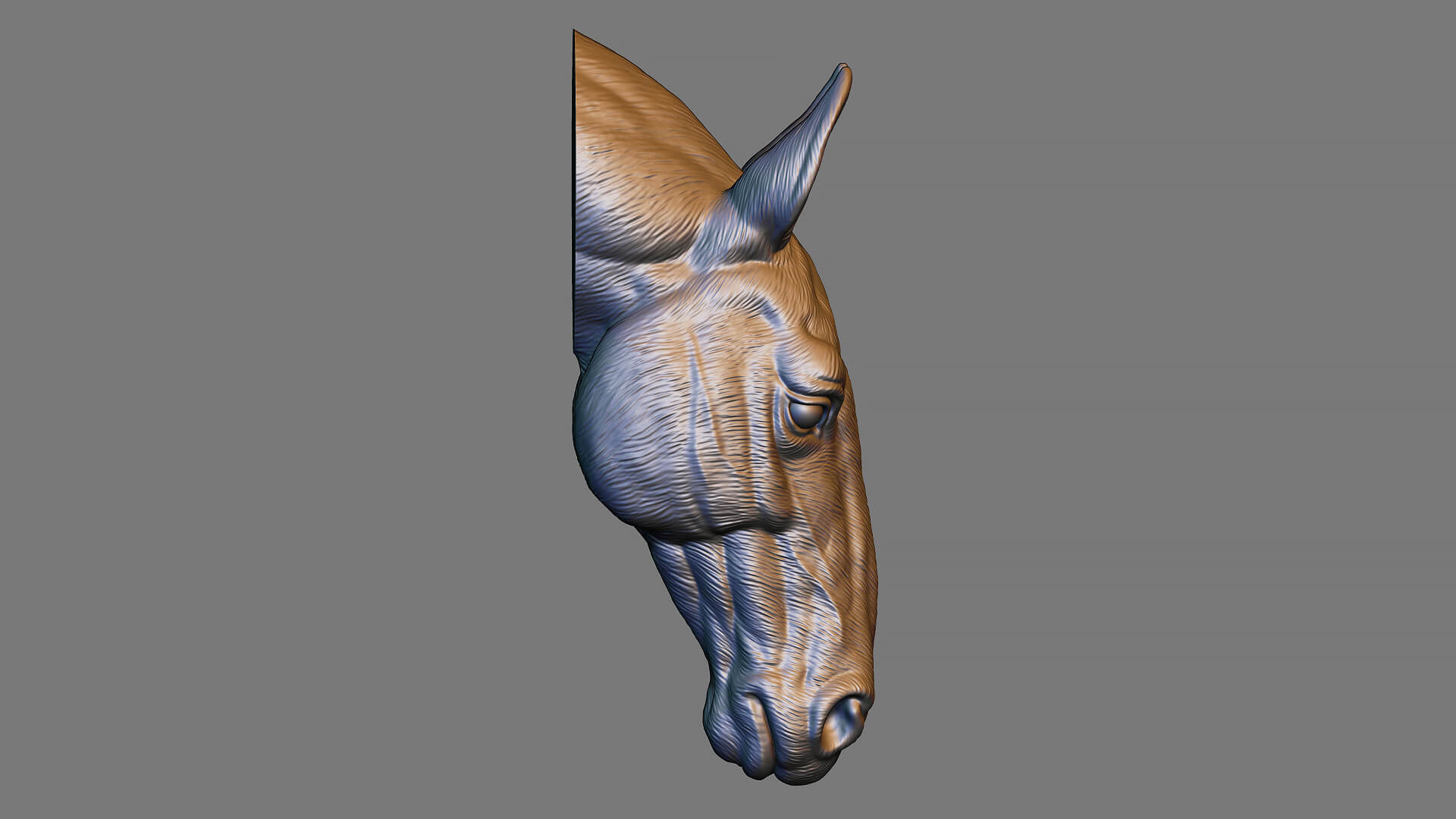Horse Head Bust 3D Model