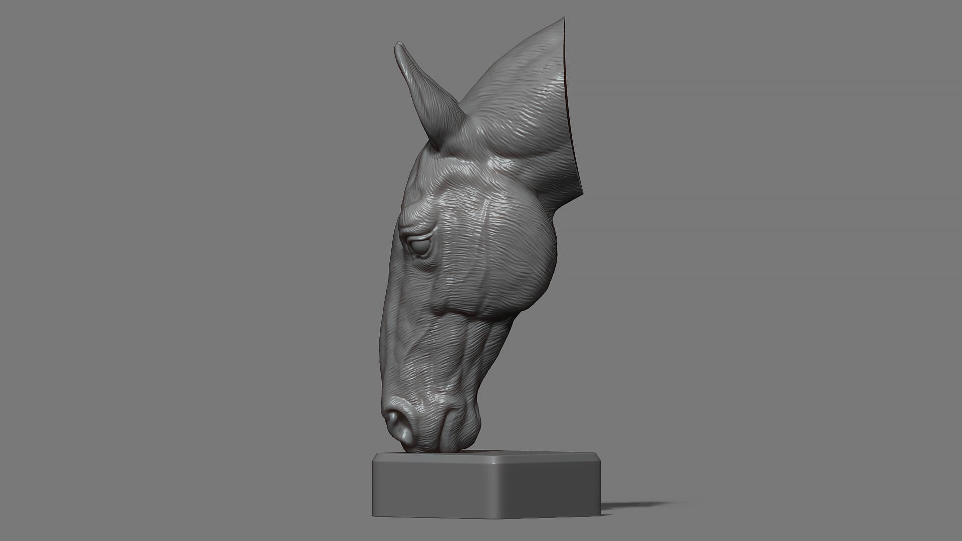 Horse Head Bust 3D Model