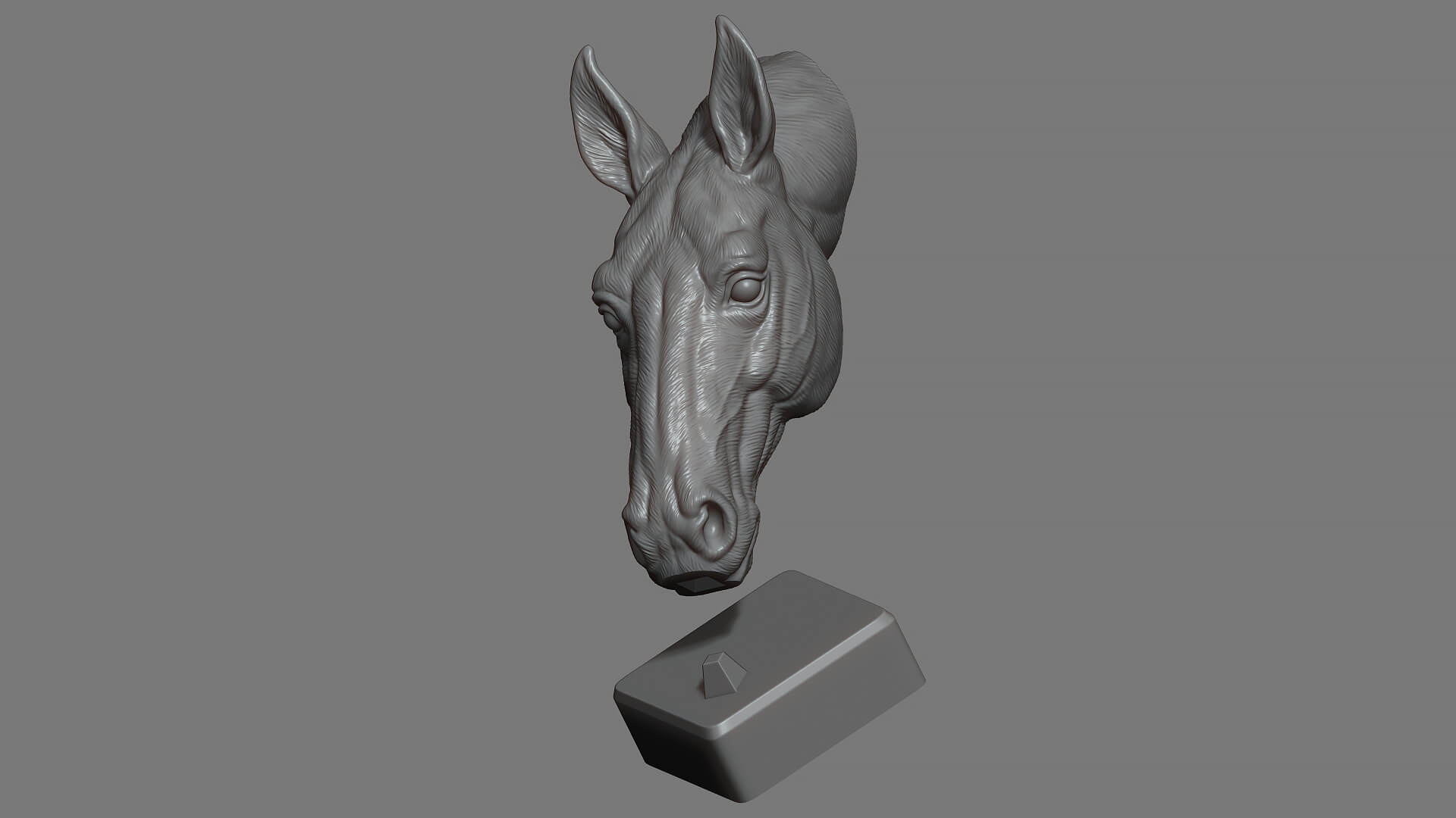 Horse Head Bust 3D Model