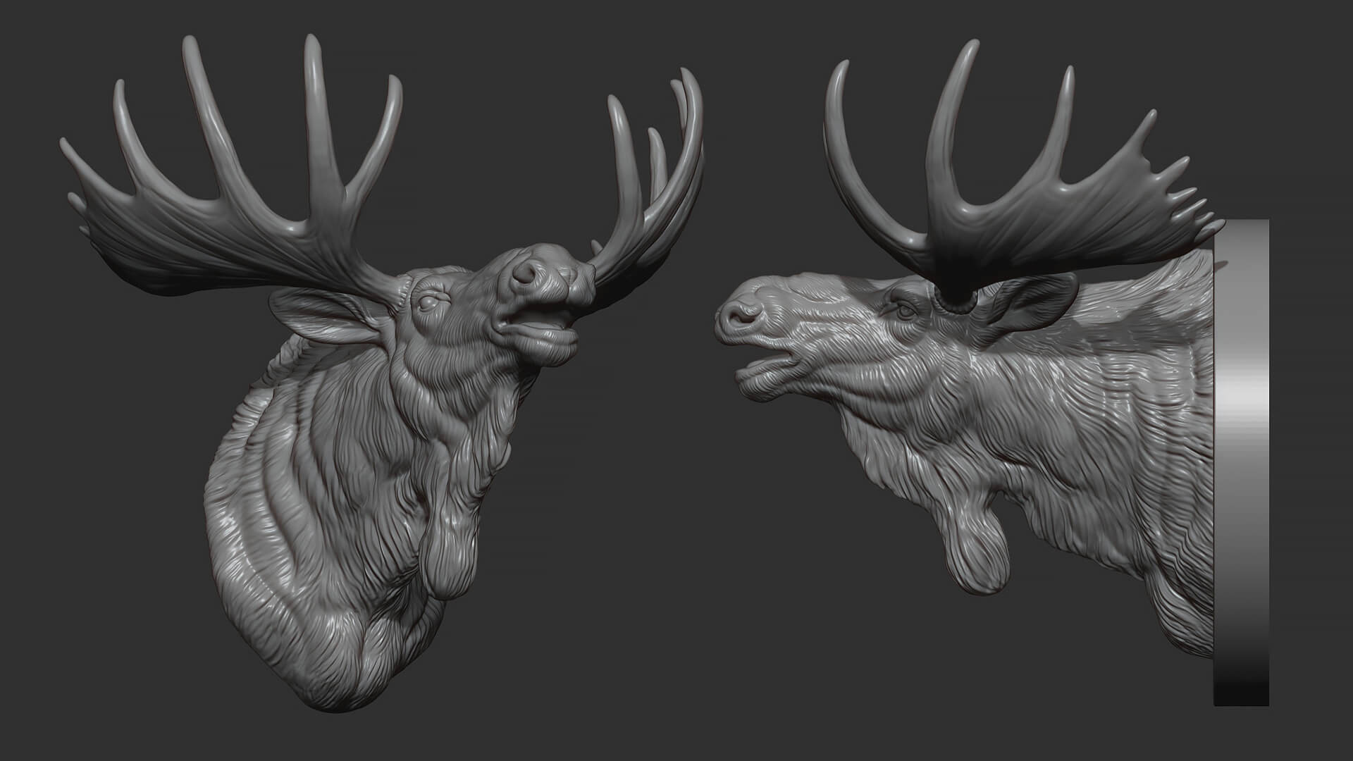 Moose Head Bust 3D Model