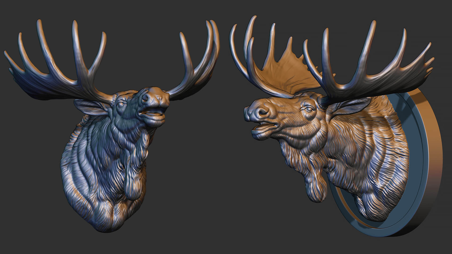 Moose Head Bust 3D Model