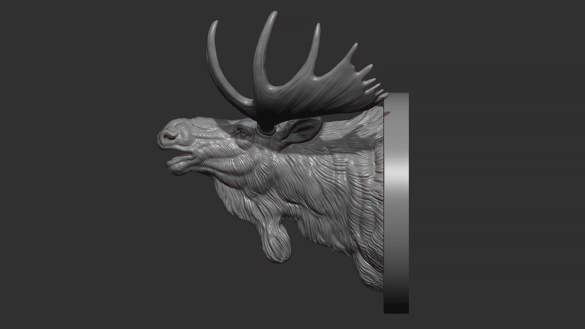 Moose Head Bust 3D Model