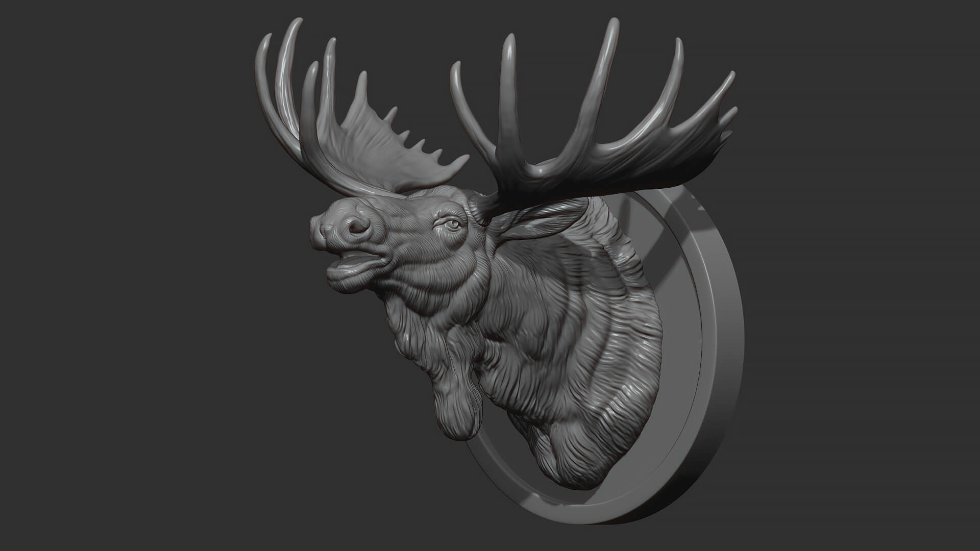 Moose Head Bust 3D Model