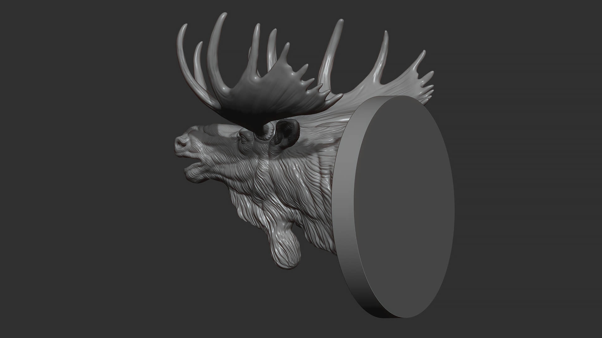 Moose Head Bust 3D Model