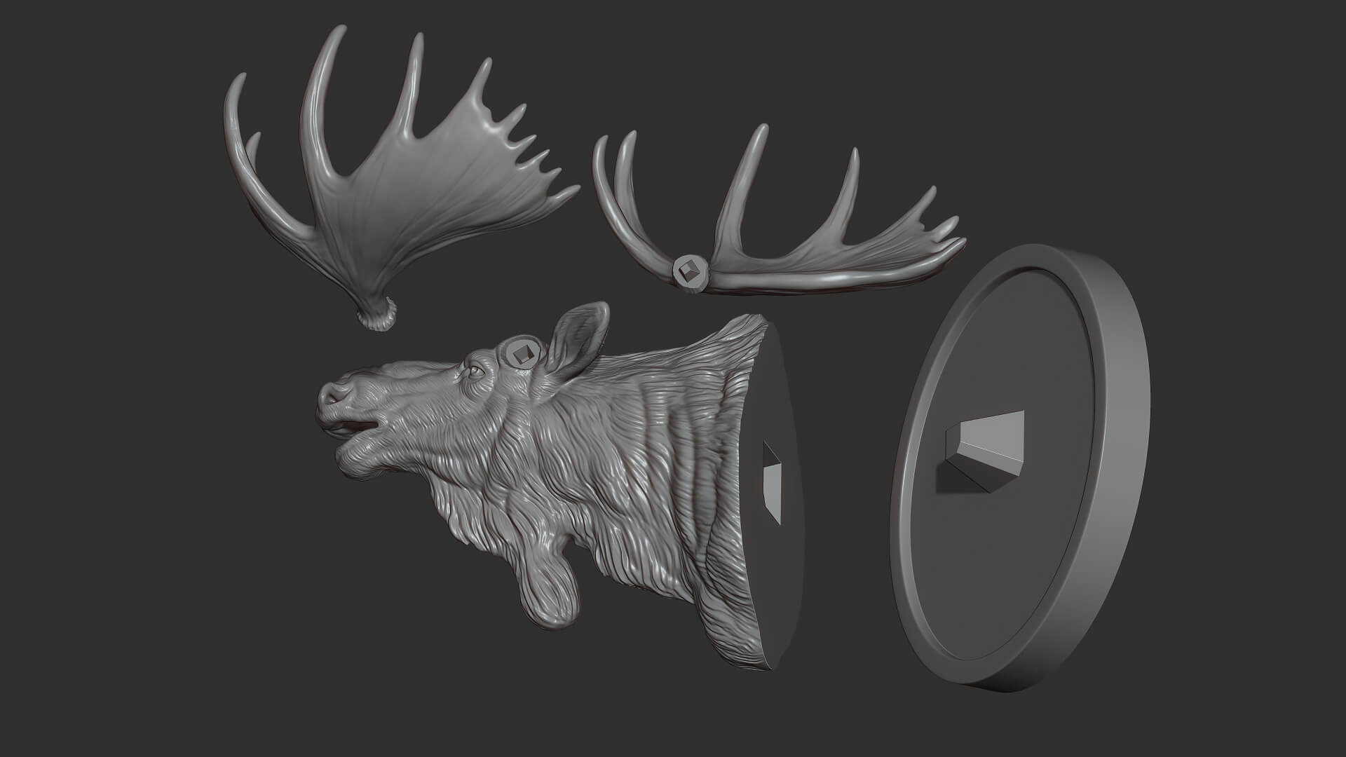 Moose Head Bust 3D Model