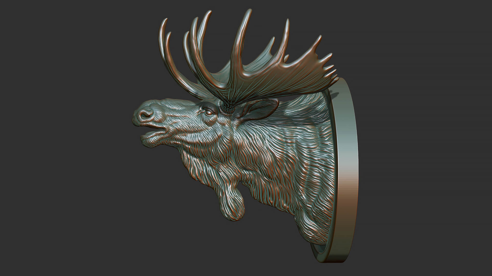 Moose Head Bust 3D Model