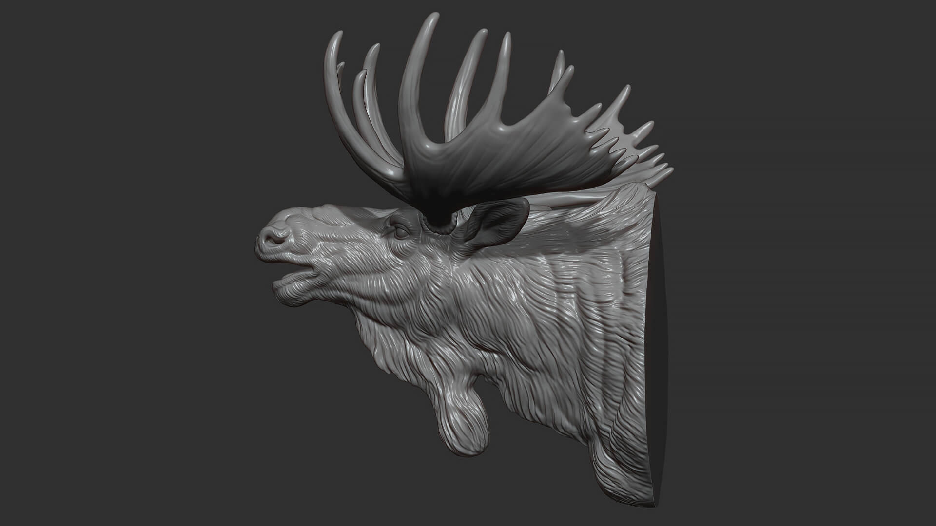 Moose Head Bust 3D Model