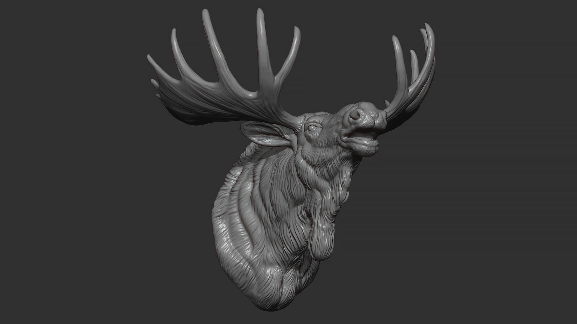 Moose Head Bust 3D Model