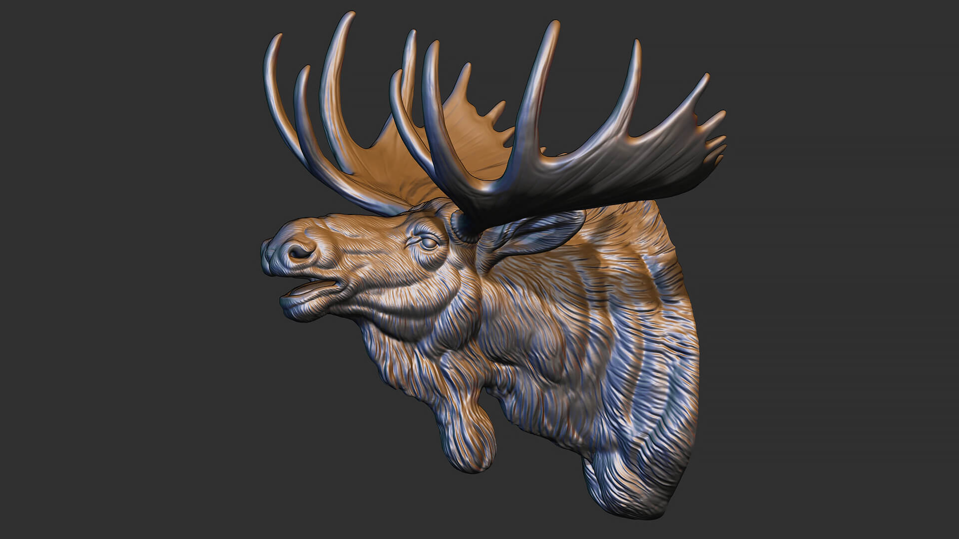 Moose Head Bust 3D Model