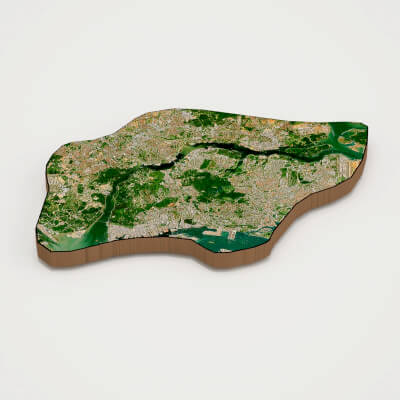 Singapore Realistic 3D Terrain Map