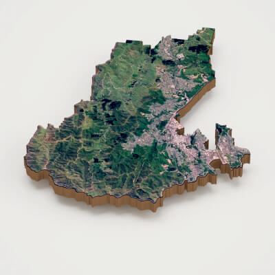 Wellington Capital of New Zealand Realistic 3D Terrain Map