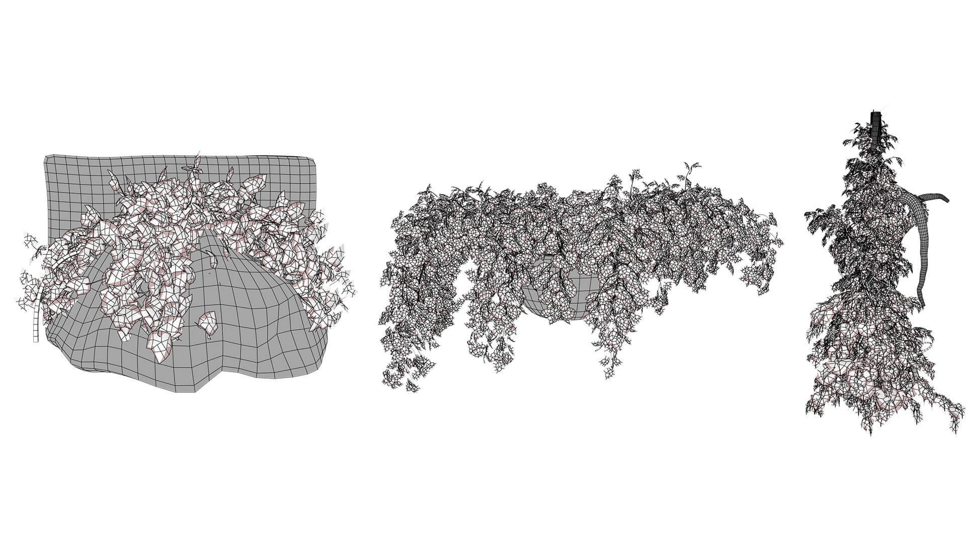 Ivy Plants Collection 02 3D Model