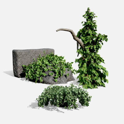 Ivy Plants Collection 02 3D Model