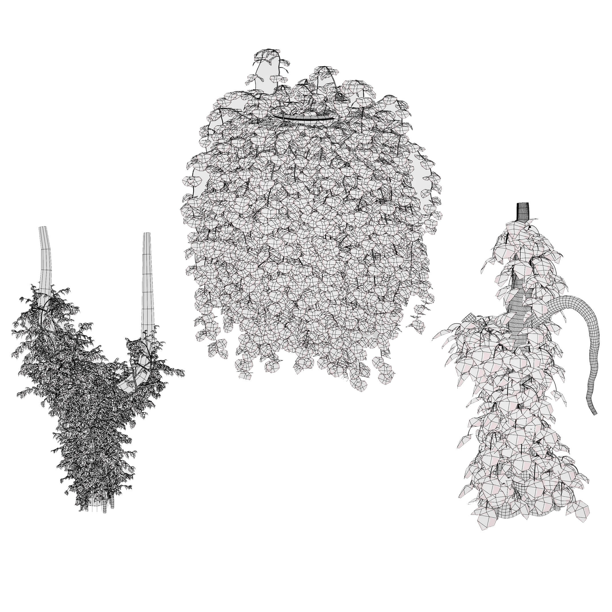 Ivy Plants Collection 03 3D Model