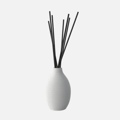 Air Refresher Bottle with Sticks 08