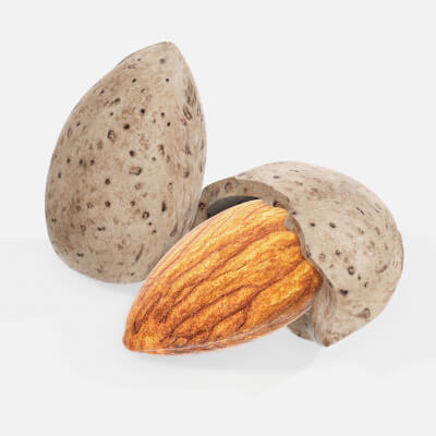Almond Nuts 01