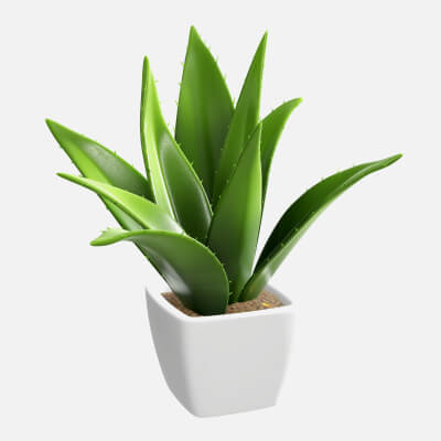 Artificial Cactus Composition 01