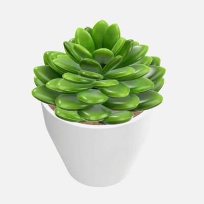 Artificial Cactus Composition 02