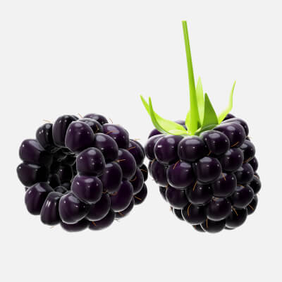 Blackberry Fruit
