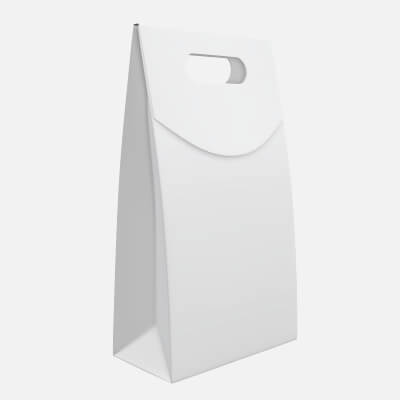 Blank White Paper Carry Bag Package Mockup