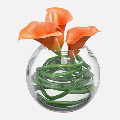 Callas in a Vase 01
