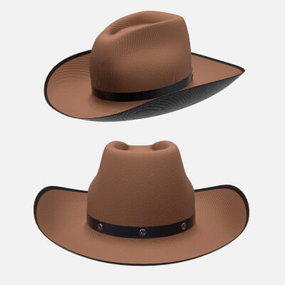 Cowboy Hat with Brims