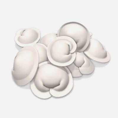 Dumplings 03