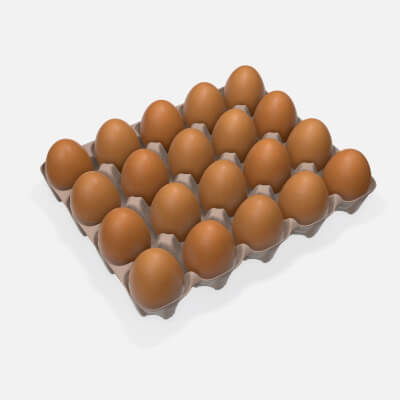 Egg Cardboard Base for 20 Eggs