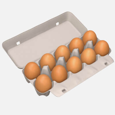 Egg Cardboard Package for 10 Eggs Opened