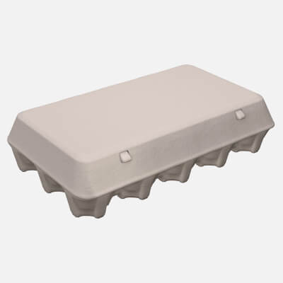 Egg Cardboard Package for 15 Eggs