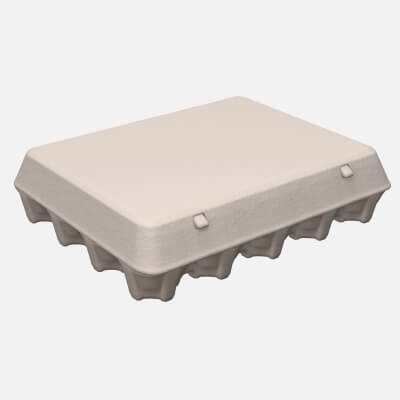 Egg Cardboard Package for 20 Eggs
