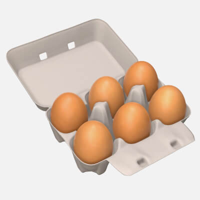 Egg Cardboard Package for 6 Eggs Opened