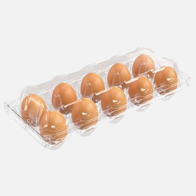 Egg Plastic Package 10 Eggs V1